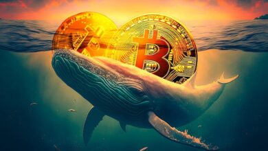 Photo of Whale Activity Shakes Up Crypto Market- Toncoin Stumbles, While Others See Potential